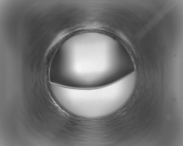 X0000081561456200701150947