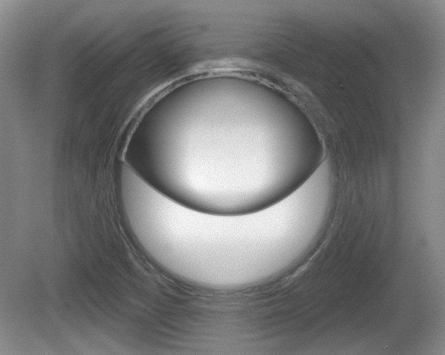 X0000081561457200701150947