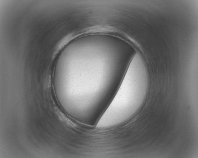 X0000081561459200701150947
