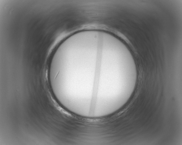 X0000081561462200701150947
