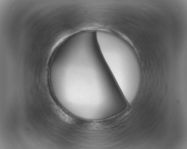 X0000081561463200701150947