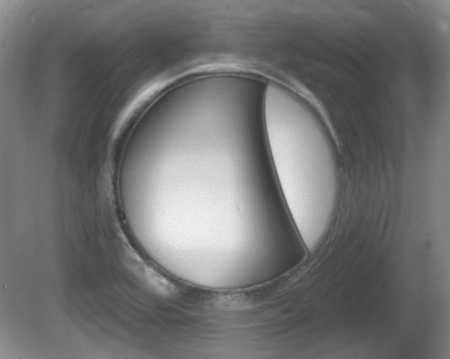 X0000081561464200701150947