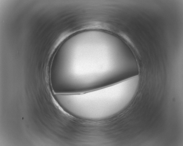 X0000081561468200701150947