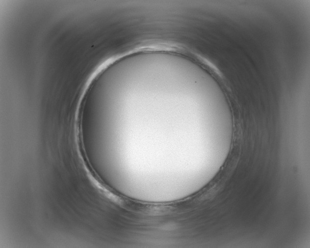 X0000081561471200701150947