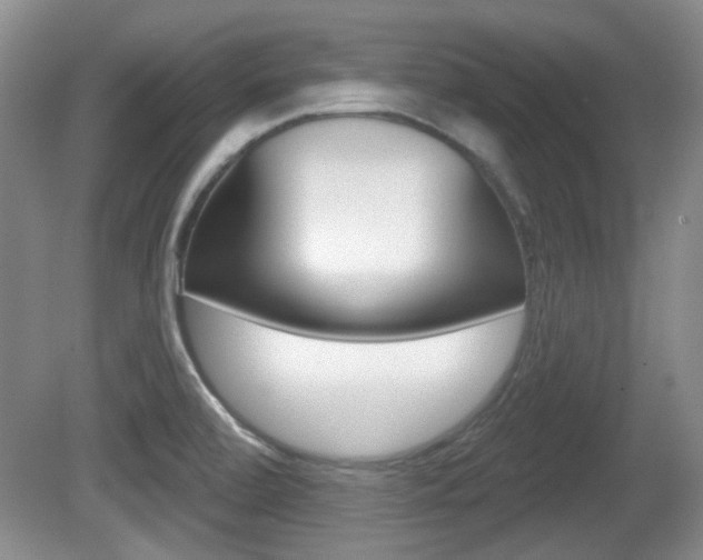 X0000081561472200701150947