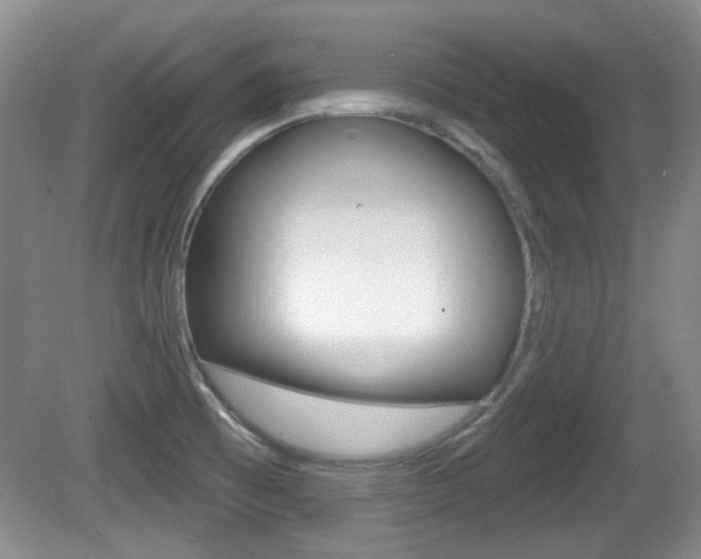 X0000081561473200701150947