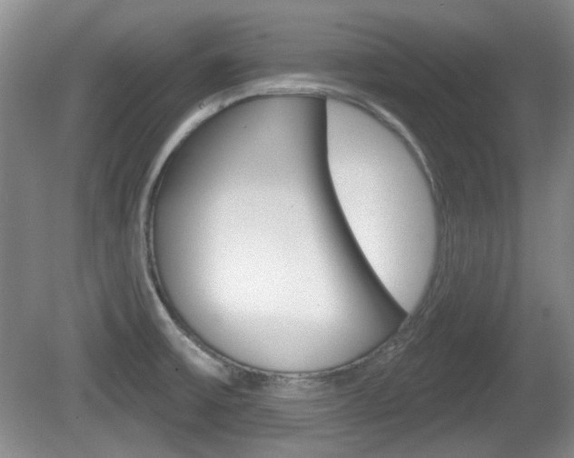X0000081561475200701150947