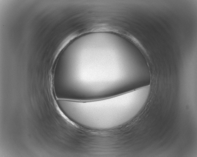 X0000081561476200701150947