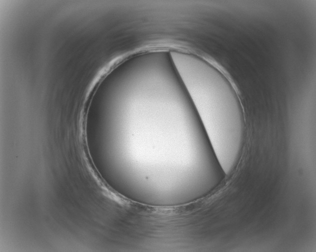 X0000081561477200701150947