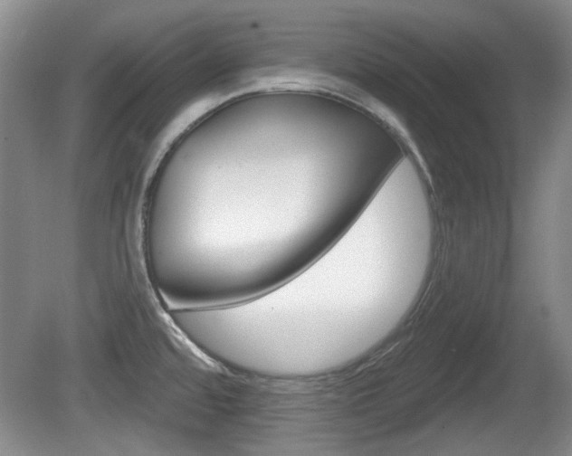 X0000081561480200701150947
