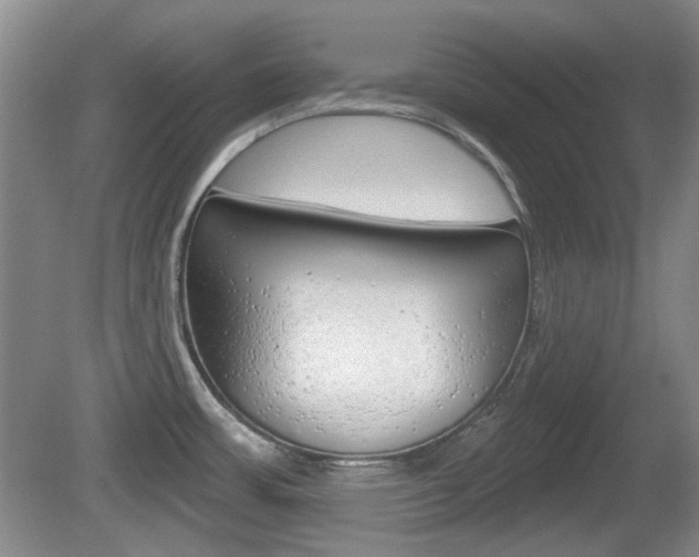 X0000081561483200701150947
