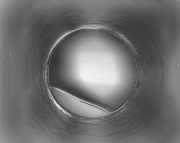 X0000081561484200701150947