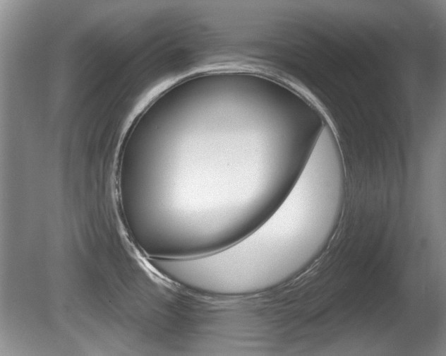 X0000081561485200701150946