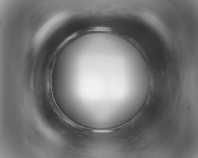 X0000081561487200701150946