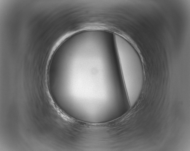 X0000081561488200701150946