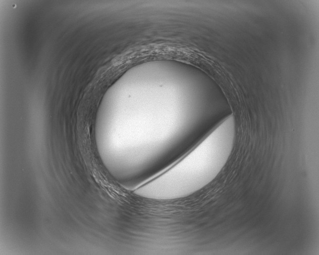 X0000081561489200701150946