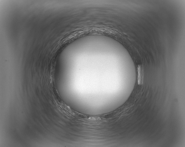 X0000081561491200701150946