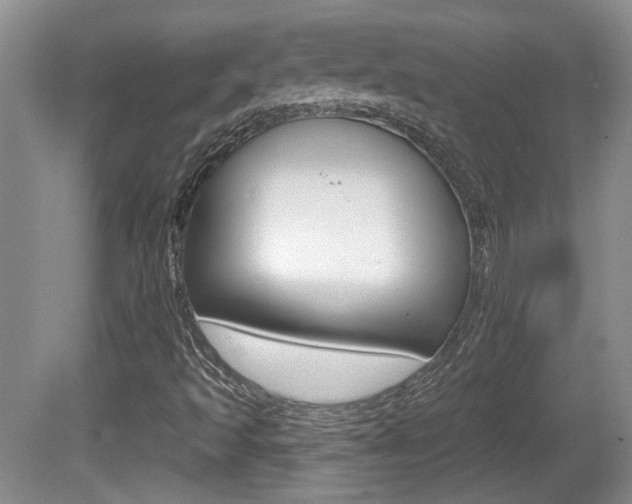 X0000081561493200701150946