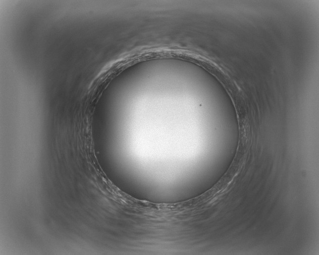 X0000081561494200701150946