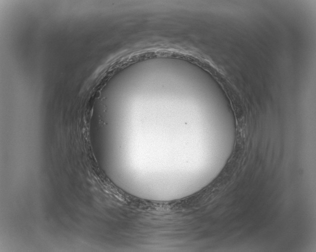 X0000081561495200701150946