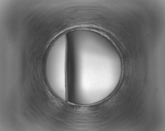 X0000081561497200701150946