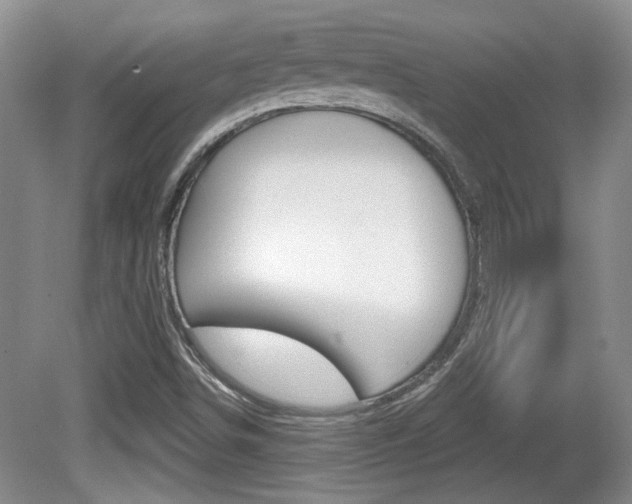 X0000081561498200701150946