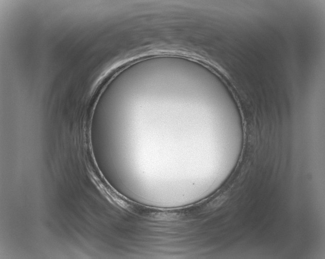X0000081561499200701150946
