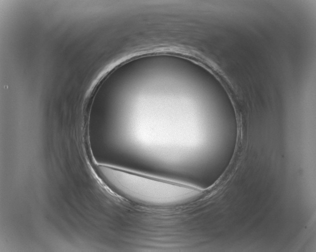 X0000081561500200701150946