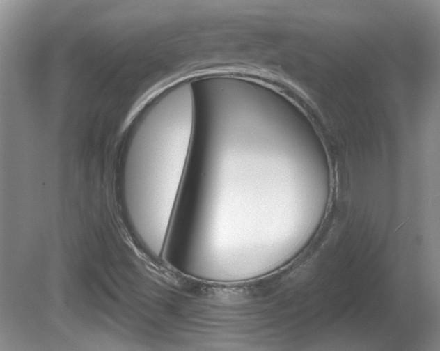 X0000081561501200701150946