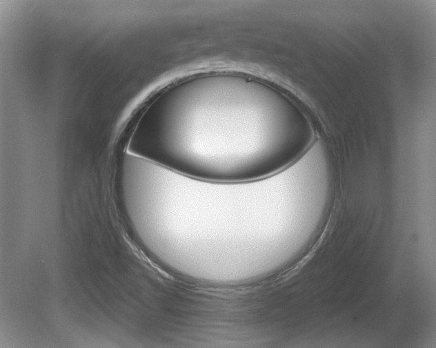 X0000081561502200701150946