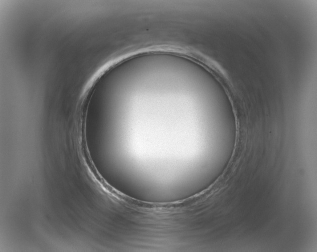 X0000081561504200701150946