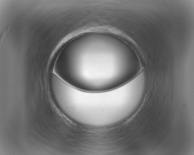 X0000081561506200701150946