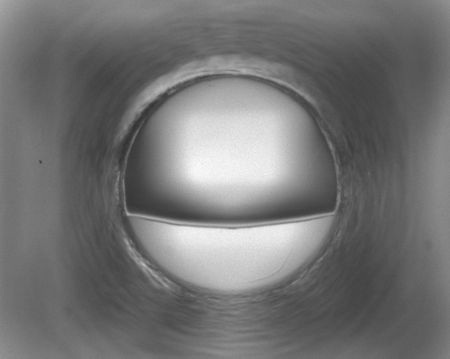 X0000081561507200701150946