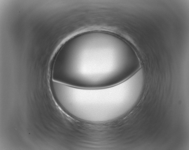 X0000081561508200701150946