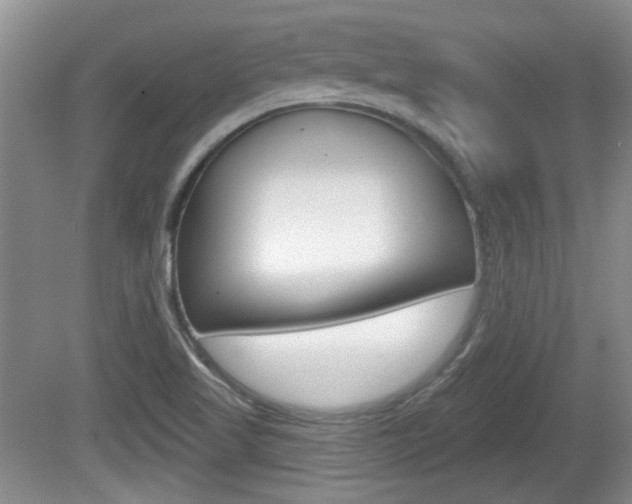 X0000081561509200701150946