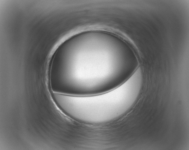 X0000081561512200701150946