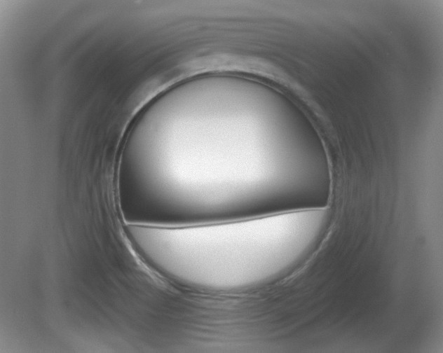 X0000081561513200701150946