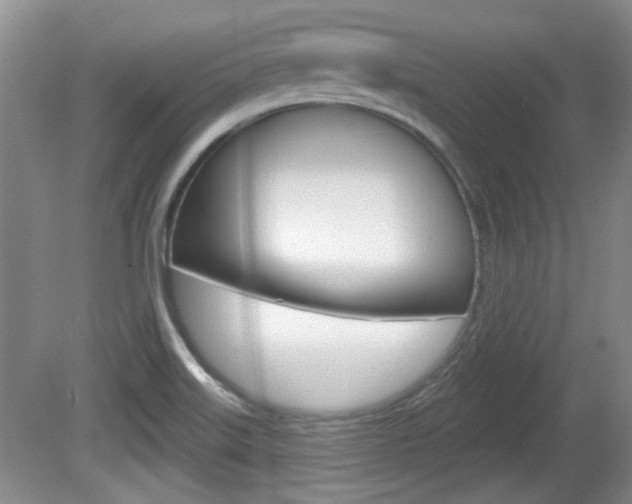 X0000081561515200701150946