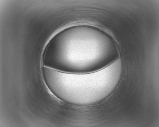 X0000081561516200701150946