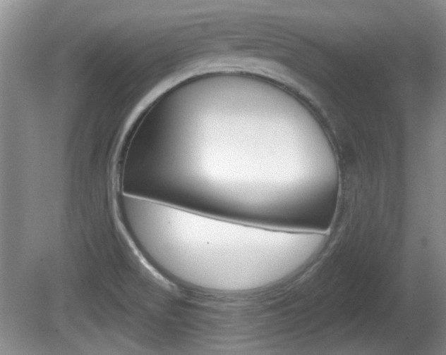 X0000081561517200701150946