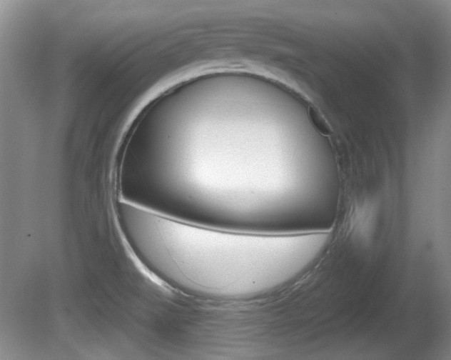 X0000081561519200701150946