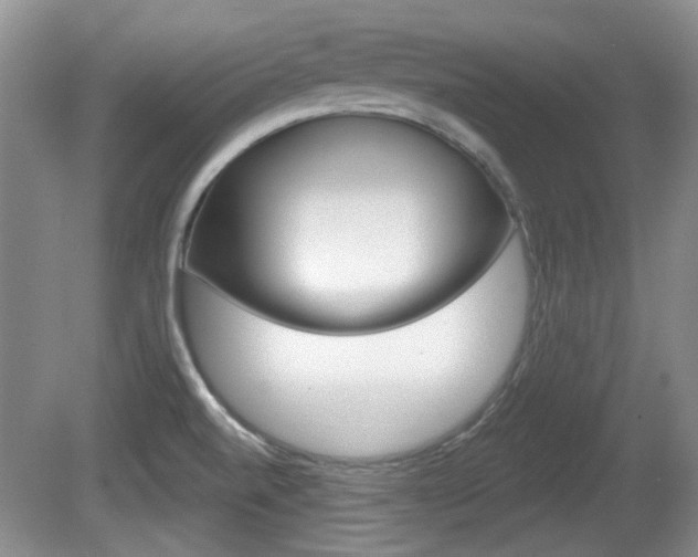 X0000081561520200701150946