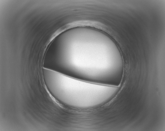 X0000081561521200701150946