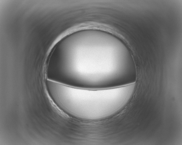X0000081561522200701150946