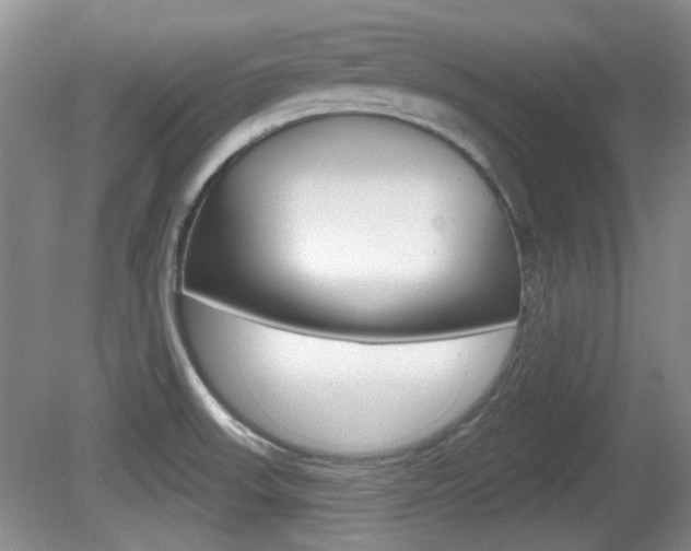 X0000081561523200701150946