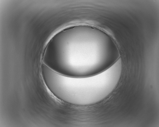 X0000081561524200701150946
