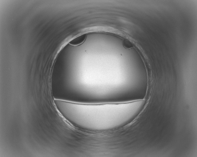 X0000081561529200701150946