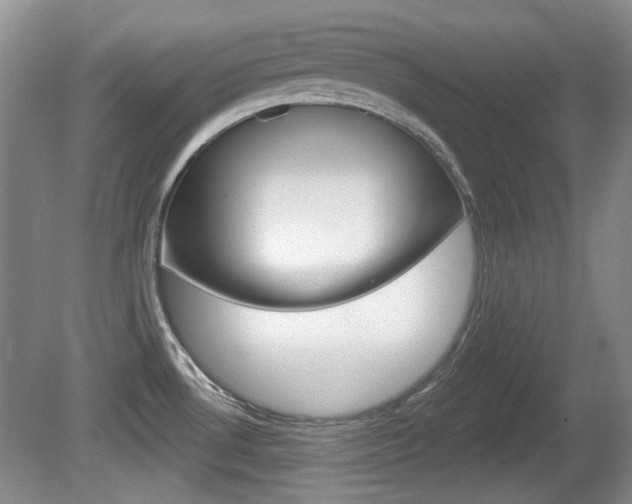 X0000081561530200701150946