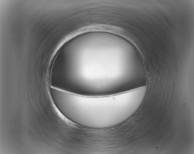 X0000081561531200701150946
