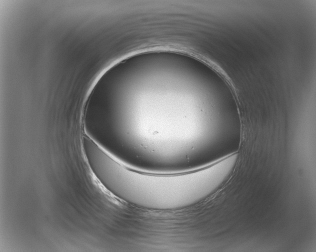 X0000081561532200701150946